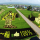 Illustration for article titled Behold These Incredible Artworks Grown from a Rice Field in Japan